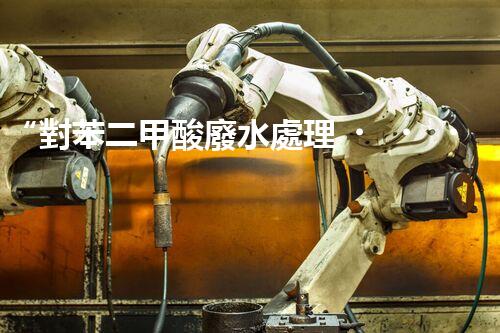 “對苯二甲酸廢水處理，綠色創(chuàng)新引領環(huán)保新篇章”